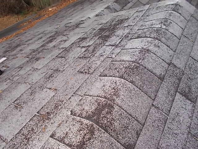 Close-up of hail damage and granule loss on an asphalt roof shingle in Medina, Ohio